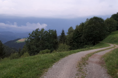 20200802_061523